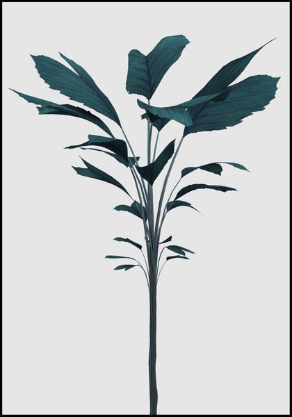 Turquoise Render | INDRAMMET BILLEDE Indrammet billede MF