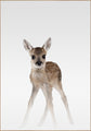 Misty Deer | INDRAMMET BILLEDE