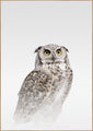 Misty Owl | INDRAMMET BILLEDE