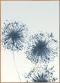 Dandelions 3 | INDRAMMET BILLEDE