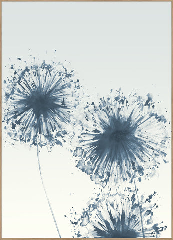 Dandelions 3 | INDRAMMET BILLEDE Indrammet billede MF