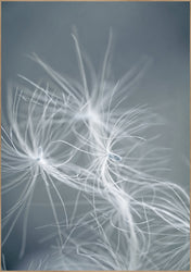 Dream weaver blue | INDRAMMET BILLEDE Indrammet billede MF