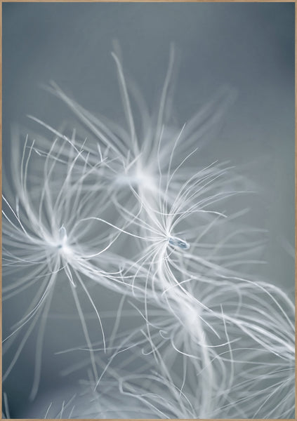Dream weaver blue | INDRAMMET BILLEDE Indrammet billede MF