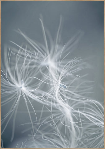 Dream weaver blue | INDRAMMET BILLEDE Indrammet billede MF