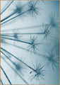 Star burst | INDRAMMET BILLEDE