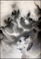Dusty rain | INDRAMMET BILLEDE