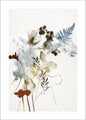 Weightless 1 | PLAKAT