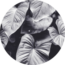 Leafs of grey | CIRCLE ART Circle Art ART COPENHAGEN   