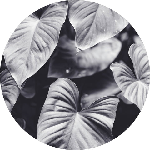 Leafs of grey | CIRCLE ART Circle Art ART COPENHAGEN   