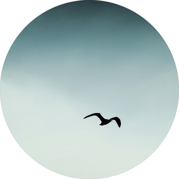 Seagul blue | CIRCLE ART Circle Art ART COPENHAGEN   