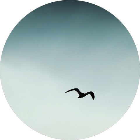 Seagul blue | CIRCLE ART Circle Art ART COPENHAGEN   