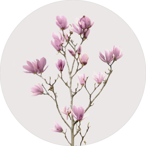 Magnolia 2 | CIRCLE ART Circle Art ART COPENHAGEN   