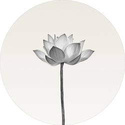 Lotus | CIRCLE ART Circle Art ART COPENHAGEN   
