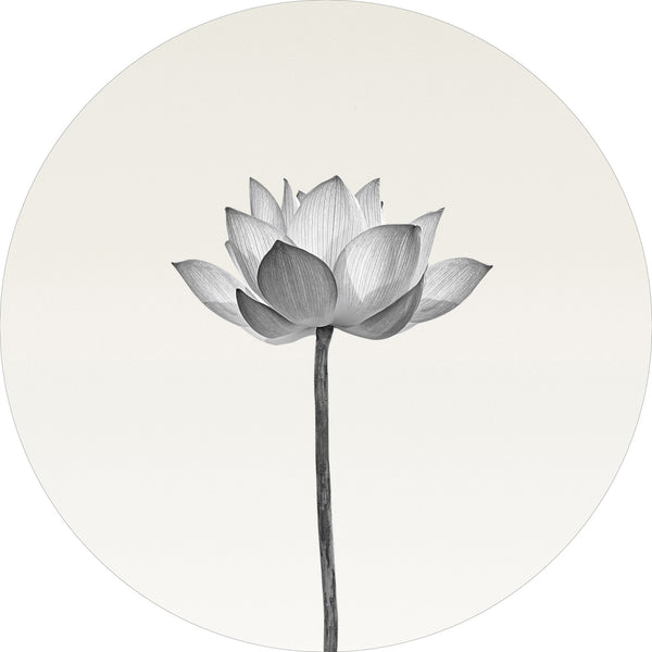 Lotus | CIRCLE ART Circle Art ART COPENHAGEN   