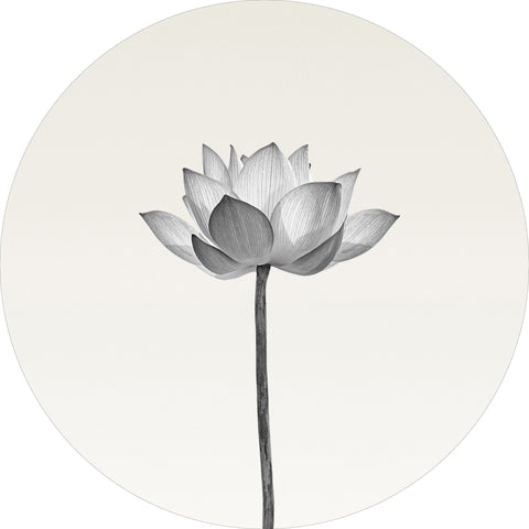 Lotus | CIRCLE ART Circle Art ART COPENHAGEN   