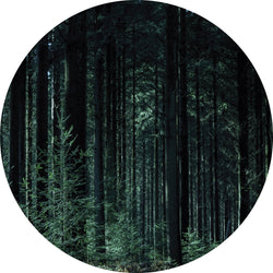 Deep Green | CIRCLE ART Circle Art ART COPENHAGEN   
