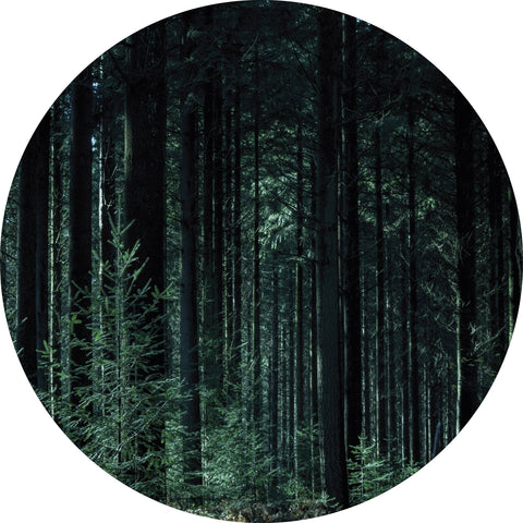 Deep Green | CIRCLE ART Circle Art ART COPENHAGEN   