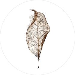 Leaf | CIRCLE ART Circle Art ART COPENHAGEN   