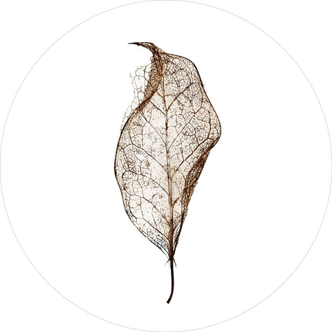 Leaf | CIRCLE ART Circle Art ART COPENHAGEN   