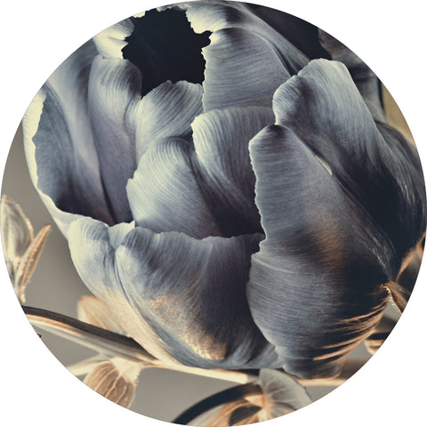 Baroque 3 | CIRCLE ART Circle Art ART COPENHAGEN   