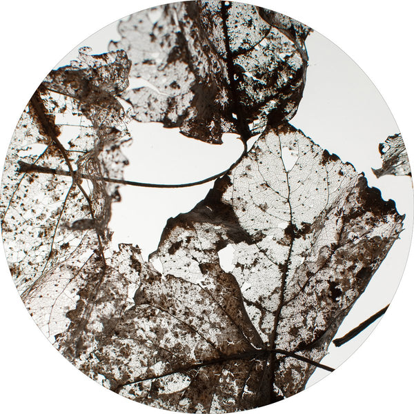 Leaves | CIRCLE ART Circle Art ART COPENHAGEN   
