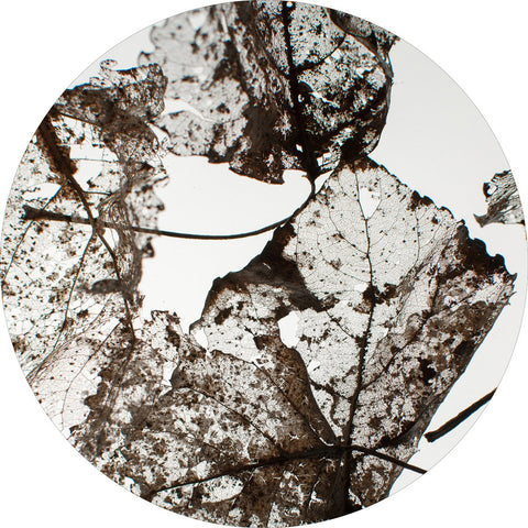 Leaves | CIRCLE ART Circle Art ART COPENHAGEN   