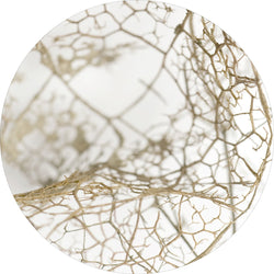 Leaf skeleton | CIRCLE ART Circle Art ART COPENHAGEN   