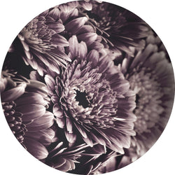Opulent 4 | CIRCLE ART Circle Art ART COPENHAGEN   