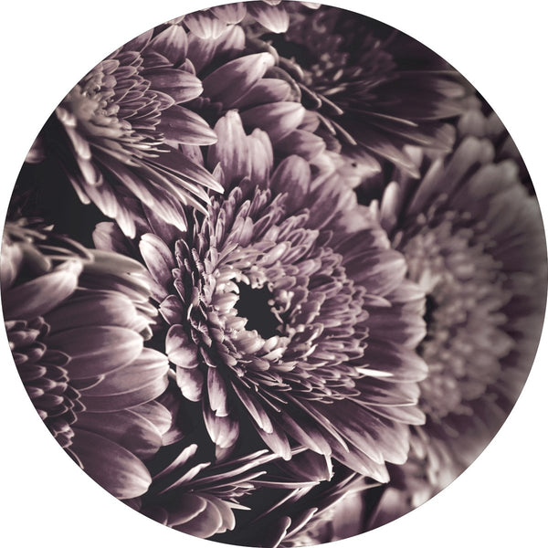 Opulent 4 | CIRCLE ART Circle Art ART COPENHAGEN   