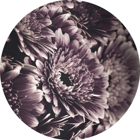 Opulent 4 | CIRCLE ART Circle Art ART COPENHAGEN   