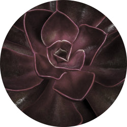 Secret 16 | CIRCLE ART Circle Art ART COPENHAGEN   