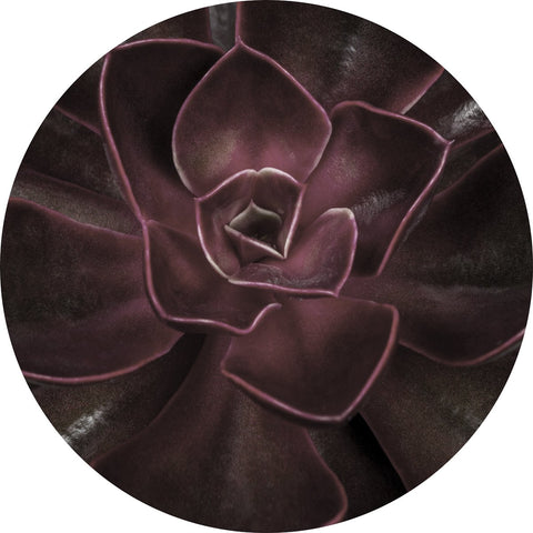 Secret 16 | CIRCLE ART Circle Art ART COPENHAGEN   