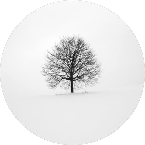 Solitary 1 | CIRCLE ART Circle Art ART COPENHAGEN   