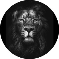 King of kings | CIRCLE ART Circle Art ART COPENHAGEN   