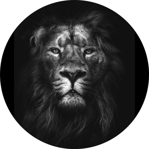 King of kings | CIRCLE ART Circle Art ART COPENHAGEN   