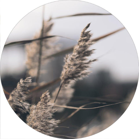Circle / Mellow Grasses 3 / Ø 40 cm Circle Art kampagne ART COPENHAGEN   