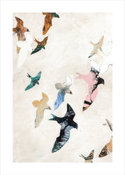 Abstract Birds 2 | PLAKAT Plakat MF