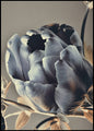 Baroque 3 | INDRAMMET BILLEDE