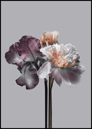 Virtue 1 | INDRAMMET BILLEDE Indrammet billede MF 30x40 Sort