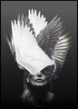 Angel | INDRAMMET BILLEDE