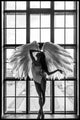 Angel dream 2 | INDRAMMET BILLEDE