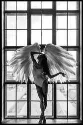 Angel dream 2 | INDRAMMET BILLEDE Indrammet billede MF