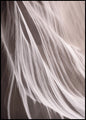 Antelope 3 | INDRAMMET BILLEDE