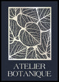 Atelier botanique | INDRAMMET BILLEDE