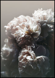 Baroque 1 | INDRAMMET BILLEDE Indrammet billede MF