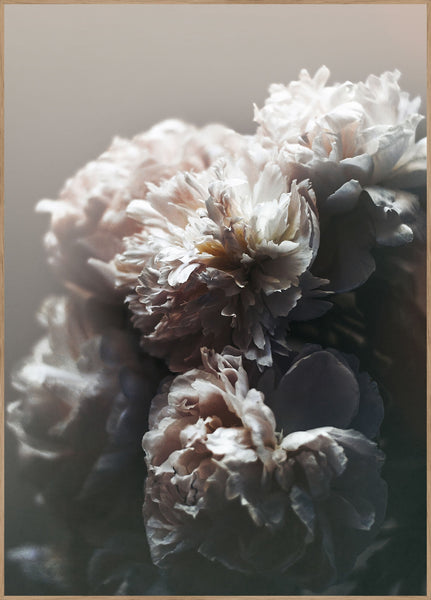 Baroque 1 | INDRAMMET BILLEDE Indrammet billede MF