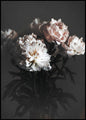 Baroque 2 | INDRAMMET BILLEDE