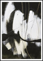 Behind Lines | INDRAMMET BILLEDE
