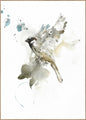 Bird 1 | INDRAMMET BILLEDE