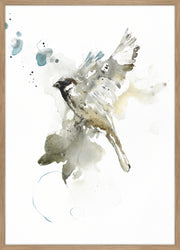 Bird 1 | PLAKAT Outlet ART COPENHAGEN